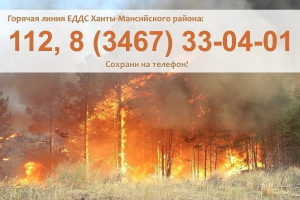 Обстановка с пожарами в Ханты-Мансийском районе в период с января по сентябрь 2022 года