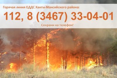 Пожарная обстановка в Ханты-Мансийском районе на 30 июля