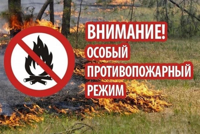 На территории Югры в связи с лесными пожарами с 29.07.2022 введен особый противопожарный режим