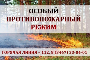 Пожарная обстановка в Ханты-Мансийском районе на 14 июня