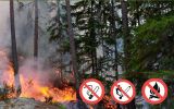 Требования по обеспечению пожарной безопасности при введении особого противопожарного режима