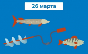В Югре пройдет экологическая акция "Помоги рыбе"