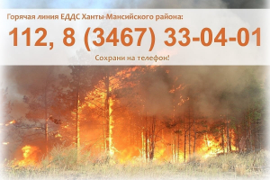 Вниманию жителей – оперативная информация ЕДДС района об обстановке с пожарами по состоянию на 7 августа