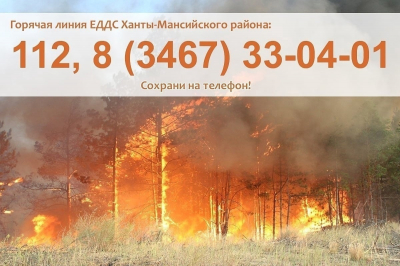 Пожарная обстановка в Ханты-Мансийском районе на 4 августа