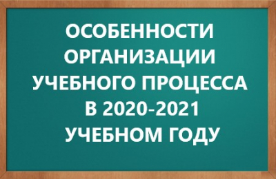 Организация образовательного процесса в 2020-2021 учебном году