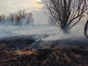 С начала пожароопасного периода в Ханты-Мансийском районе произошло восемь ландшафтных пожаров
