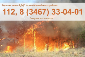 Пожарная обстановка в Ханты-Мансийском районе на 10 августа