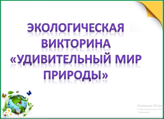 Экологическая викторина "Удивительный мир природы"