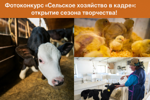 Фотоконкурс «Сельское хозяйство в кадре»: открытие сезона творчества!