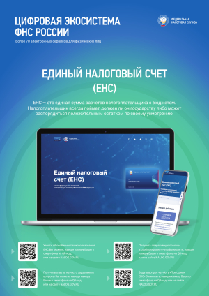 Цифровая экосистема ФНС России предлагает более 70 электронных сервисов для физических лиц