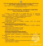 Оперативная обстановка с пожарами на территории Ханты-Мансийского района за период с 01.01.2022 по 11.12.2022 года