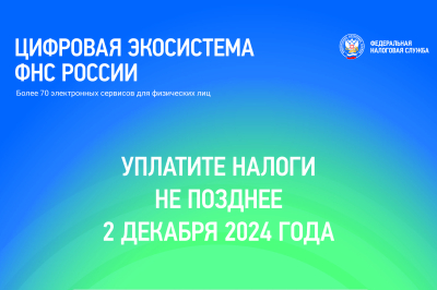 Уплатите налоги не позднее 2 декабря!