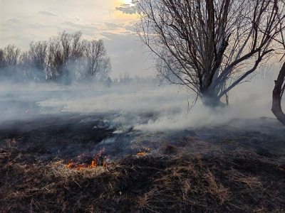 С начала пожароопасного периода в Ханты-Мансийском районе произошло восемь ландшафтных пожаров