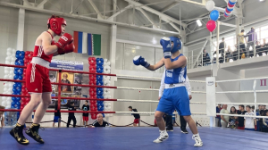 В Ханты-Мансийском районе состоялся VIII открытый традиционный региональный турнир по боксу «За други своя»