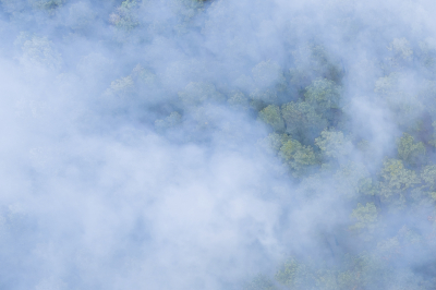 Жители Югры наблюдают дымку от лесных пожаров, которые сейчас активно тушат наши огнеборцы