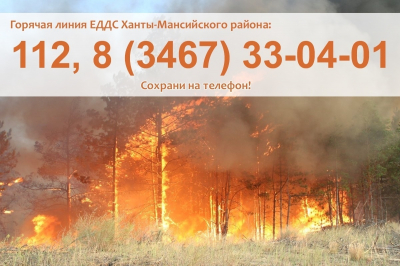 Пожарная обстановка в Ханты-Мансийском районе на 11 сентября