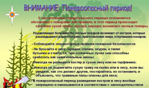 Главное управление МЧС России по Ханты-Мансийскому автономному округу — Югре: что нужно знать про пожароопасный сезон
