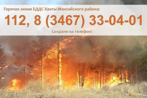 Пожарная обстановка в Ханты-Мансийском районе на 20 июля