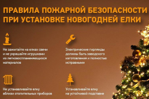 МЧС России: советы по безопасному украшению новогодней ёлки