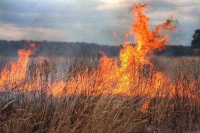 МЧС предупреждает: не сжигайте сухую траву – это опасно