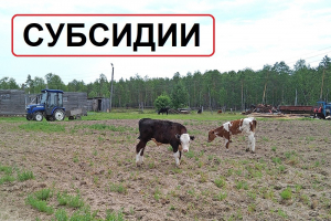 Вниманию сельскохозяйственных товаропроизводителей Ханты-Мансийского района!