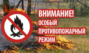 На территории Югры с 8 июня и на межселенной территории Ханты-Мансийского района с 9 июня введен особый противопожарный режим