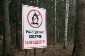 О проводимых мероприятиях по обеспечению пожарной безопасности в лесах, в том числе в связи с введением на территории Югры особого противопожарного режима
