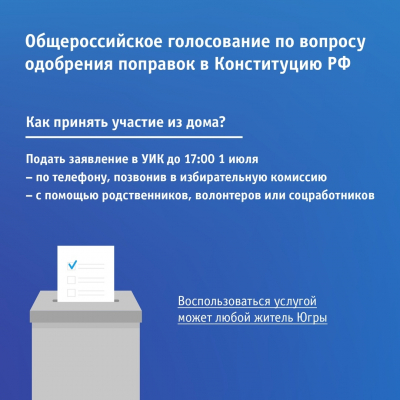 Принять участие в голосовании по вопросу одобрения поправок в Конституцию РФ можно дома
