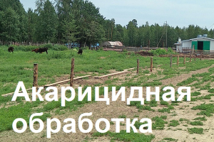 График проведения акарицидной обработки на территории Ханты-Мансийского района
