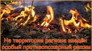 Пожарная обстановка в Ханты-Мансийском районе на 9 августа
