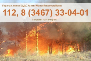 Пожарная обстановка в Ханты-Мансийском районе на 1 августа