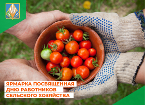 В Горноправдинске пройдет ярмарка, посвященная Дню работников сельского хозяйства