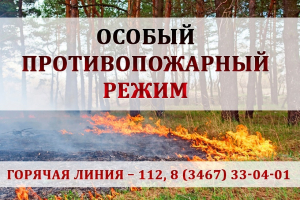 Пожарная обстановка в Ханты-Мансийском районе на 12 мая