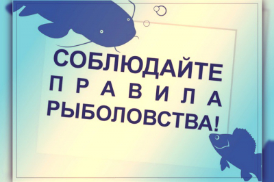 Новые правила любительского рыболовства 2023 по хмао