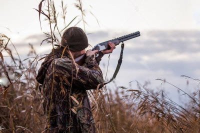 Югорские охотники могут подать заявки на получение разрешения на охоту на портале госуслуг