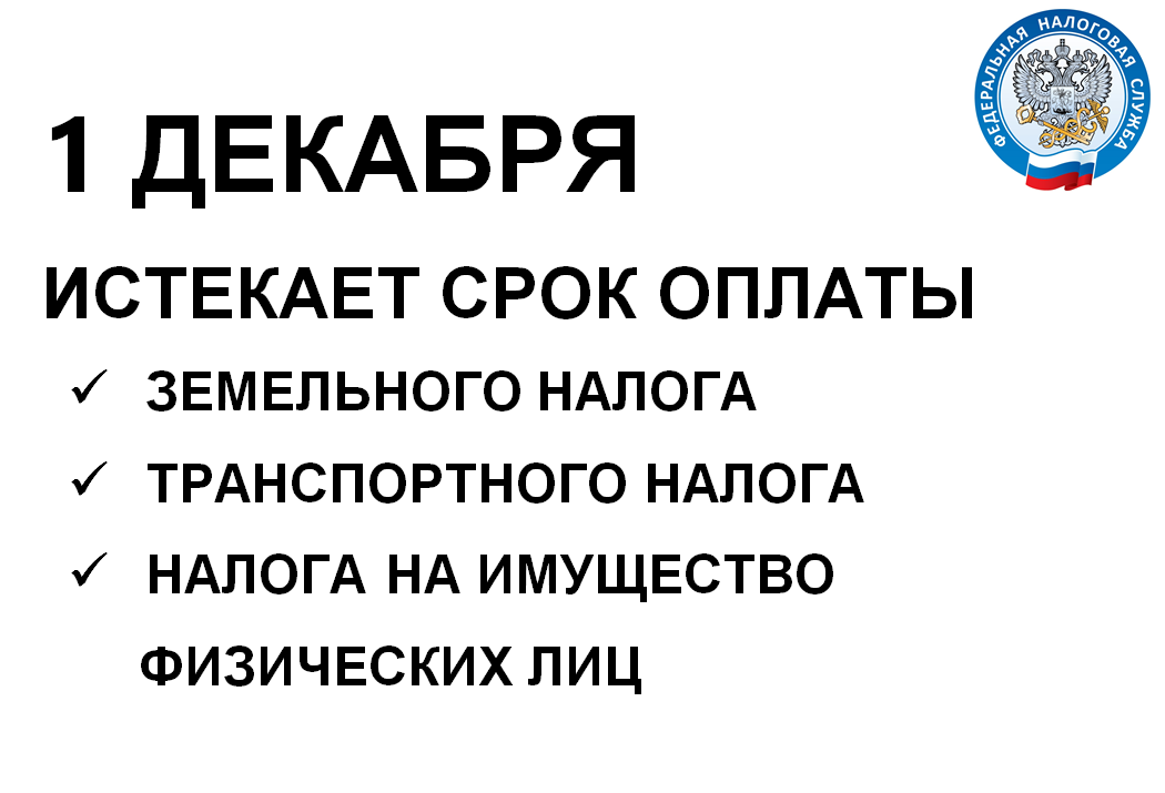 1 декабря - истекает срок оплаты земельного, транспортного и налога на имущество физических лиц