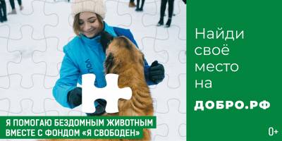 C 25 ноября по 15 декабря - Всероссийская рекламная кампания «Пазл добра»
