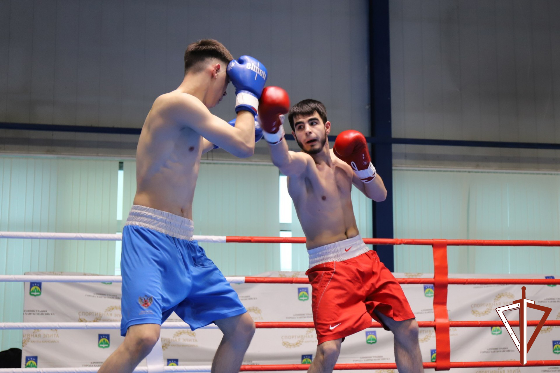В столице Югры состоялись соревнования по боксу в поддержку росгвардейцев — участников специальной военной операции