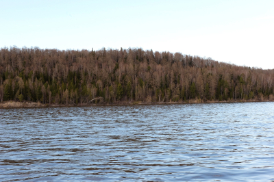 О паводковой ситуации на 1 июня