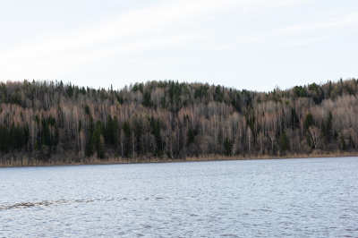 О паводковой ситуации на 16 июня
