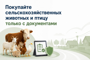 Покупайте сельскохозяйственных животных и птицу только с документами