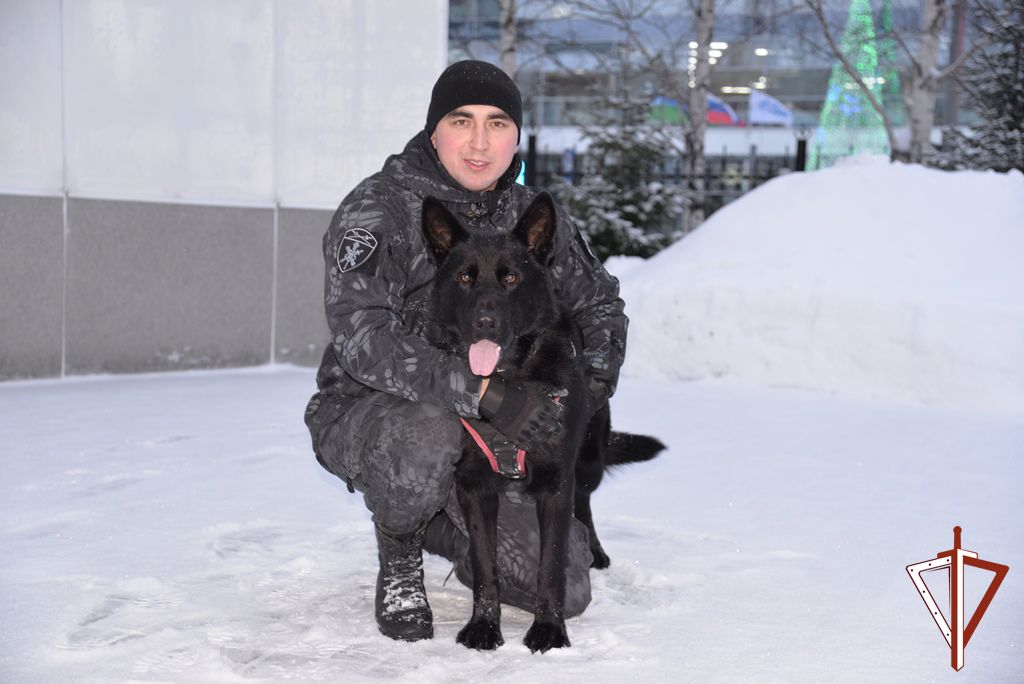 Специалисты кинологической службы Росгвардии подвели итоги служебной деятельности в Югре