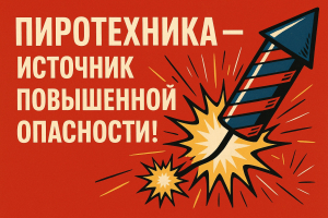 При использовании пиротехники во время праздников и торжеств важно соблюдать меры предосторожности, чтобы не допустить пожара и травм!