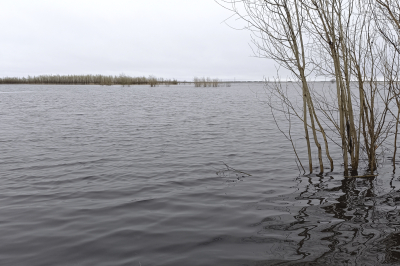 О паводковой ситуации на 26 мая