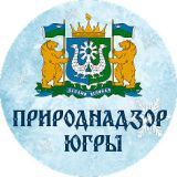 Памятка «О проведении профилактической операции «Ель»