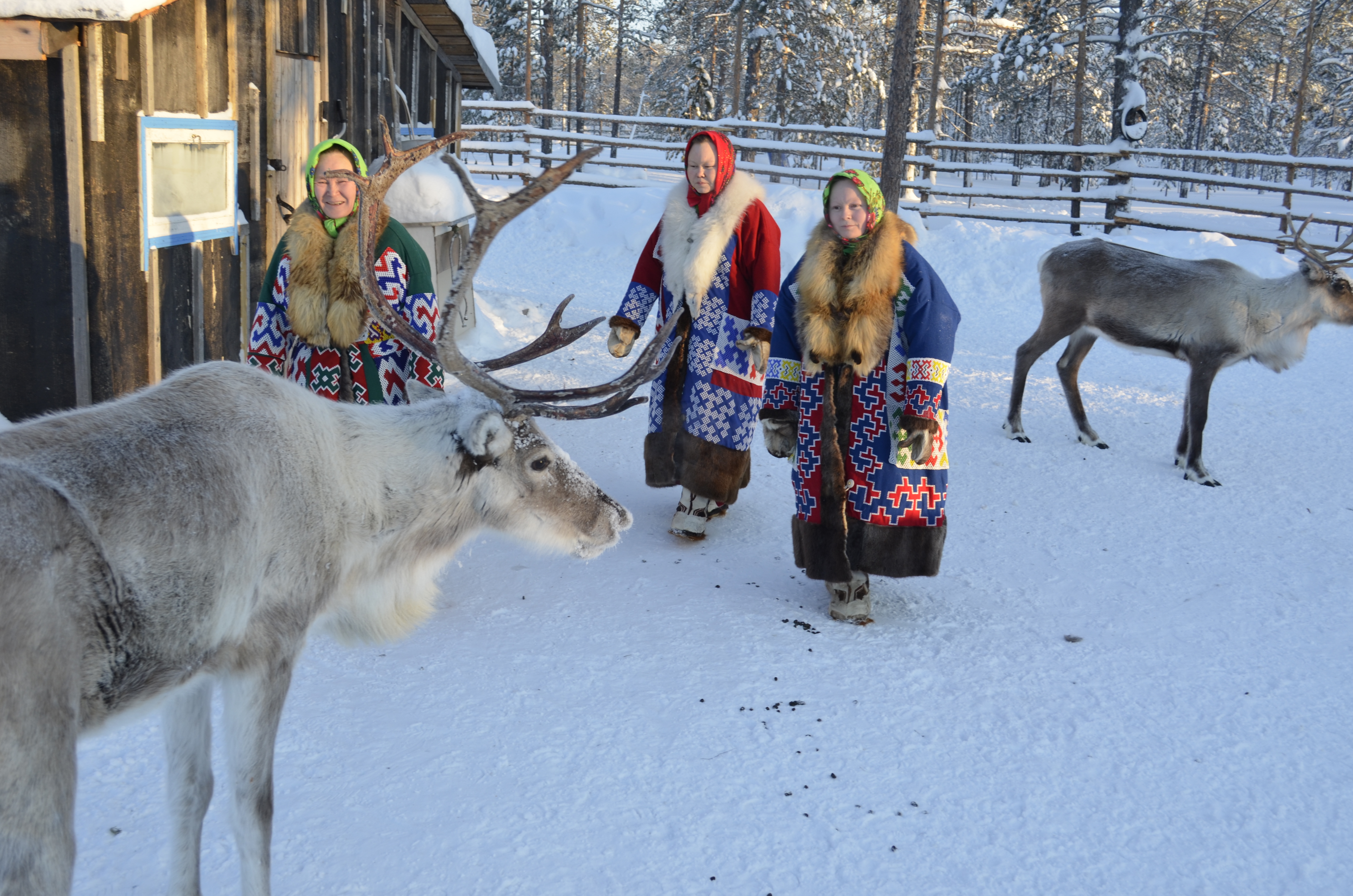 Изменение реализации госпрограммы «Устойчивое развитие коренных малочисленных народов Севера» 