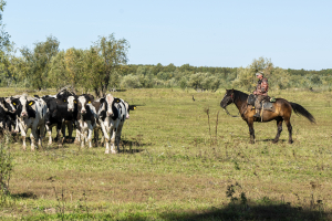 Уважаемые земляки, работники и ветераны агропромышленного комплекса! Поздравляю вас с Днем работника сельского хозяйства и перерабатывающей промышленности!