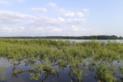 О паводковой ситуации на 18 июня