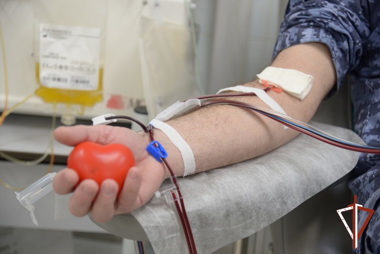 Росгвардейцы пополнили банк крови во Всемирный день донора в Югре