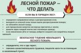 Действия при лесном пожаре!
